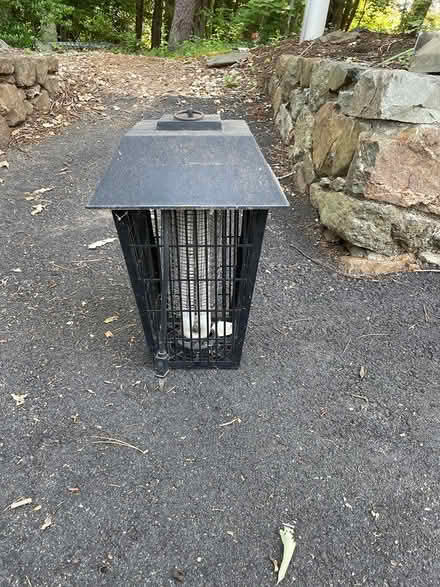 Photo of free Bug lantern (Earlysville - near Reservoir) #1