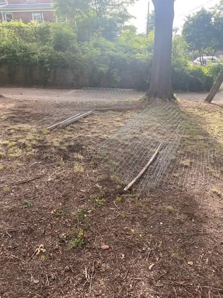 Photo of free 3 rolled fences for young trees (Michigan Park) #4
