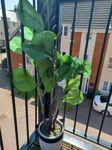 Photo of free Artificial Potted Balcony Plant (Queen's Hills NR8) #1