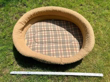 Photo of free Dog Bed (Lamberhurst TN3) #1