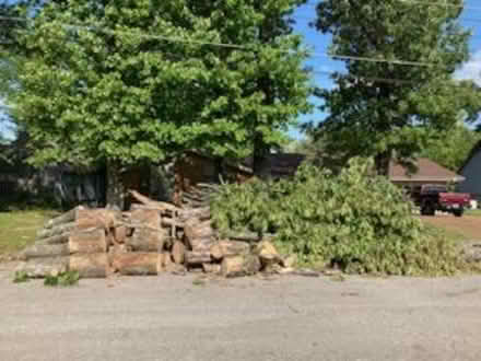 Photo of free fire wood (Forest Lakes) #4