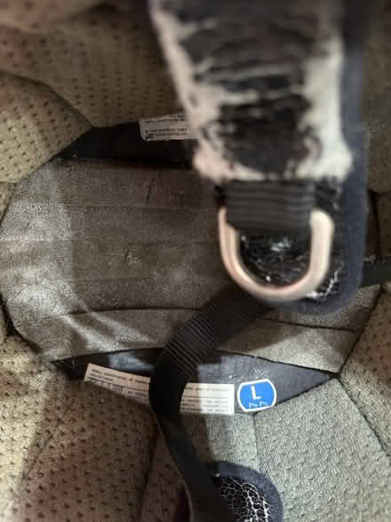 Photo of free Helmet (Washougal) #3