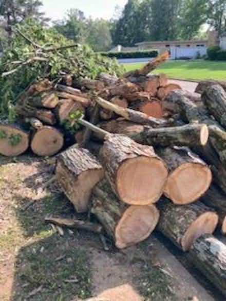 Photo of free fire wood (Forest Lakes) #3