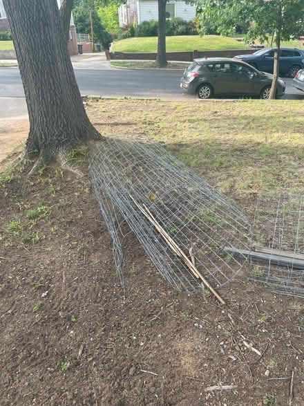 Photo of free 3 rolled fences for young trees (Michigan Park) #1