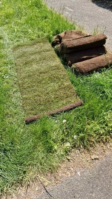 Photo of free Turf (RH1) #1
