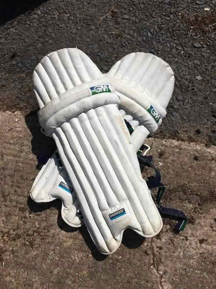 Photo of free Cricket pads (Homer TF13) #1