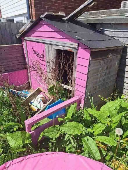 Photo of free small shed (Maltby S66) #1