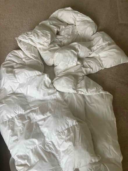 Photo of free Twin comforter pottery barn kids (Pasadena) #1