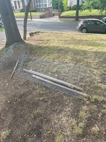 Photo of free 3 rolled fences for young trees (Michigan Park) #2