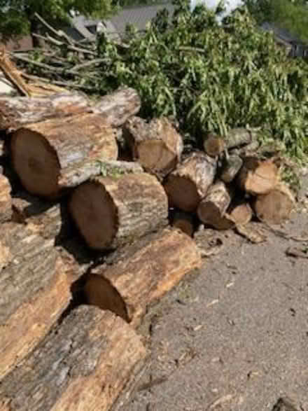 Photo of free fire wood (Forest Lakes) #1