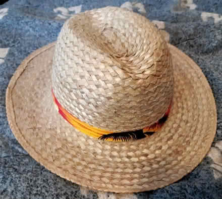 Photo of free Straw hat (re-offer) (Cambridgeport, near Dana Park) #1