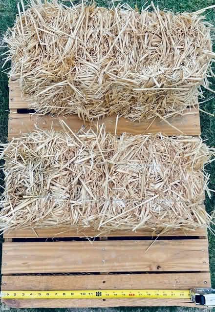 Photo of free 38”x26”, light weight wooden pallet (Plano, TX. 75023) #2