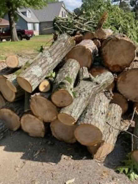 Photo of free fire wood (Forest Lakes) #2