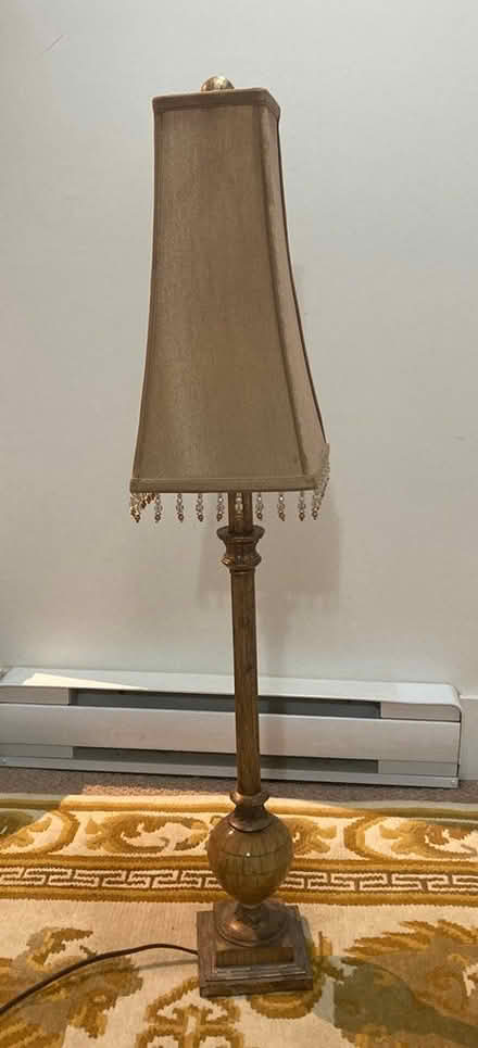 Photo of free Lamp (Near Hastings & Victoria drive) #1