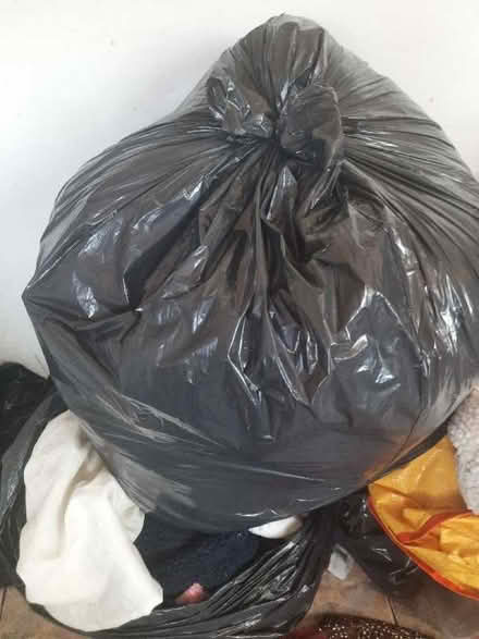 Photo of free Clothes shoes and bags (Daimler Green CV6) #1