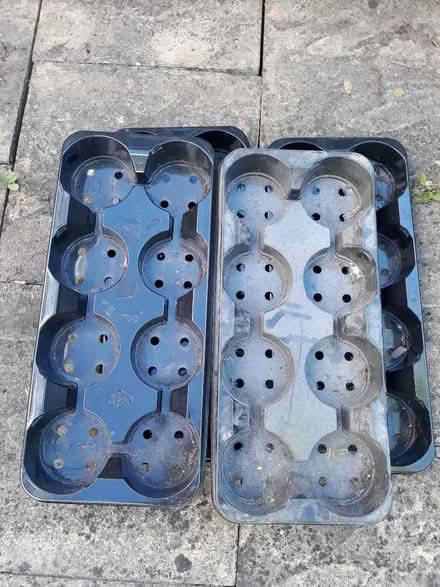 Photo of free Plant trays, two sizes (Moortown LS17) #1