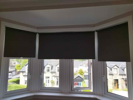 Photo of free Dark grey ikea roller blinds (Burnside) #1