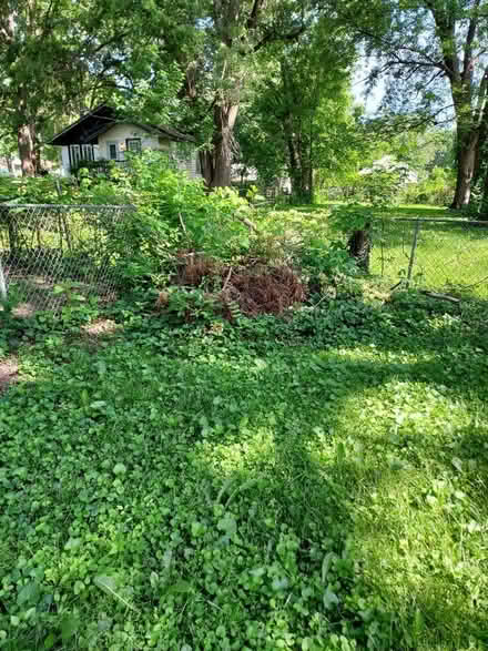 Photo of free Strange offer ... Brush (Independence) #1