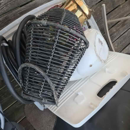 Photo of free garden and stuff (Prospect Park NJ) #4