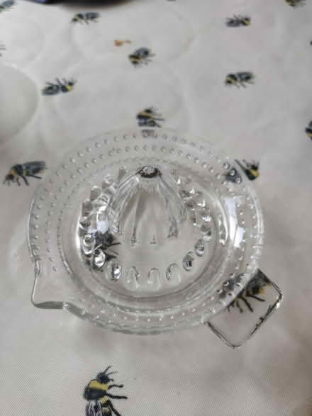 Photo of free Lemon squeezer (Newhaven EH6) #1