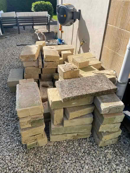 Photo of free Cement blocks (Weston) #1