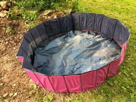 Photo of free Dog paddling pool (Minster Lovell OX29) #1