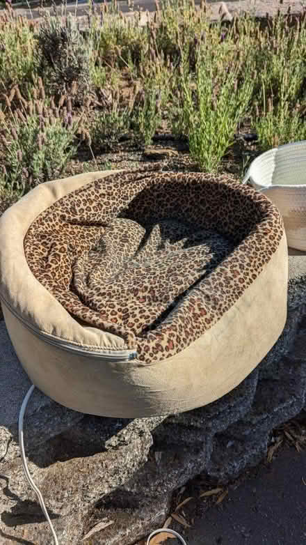 Photo of free Curb alert - 65 Alta Vista Way (near San Rafael high school) #2
