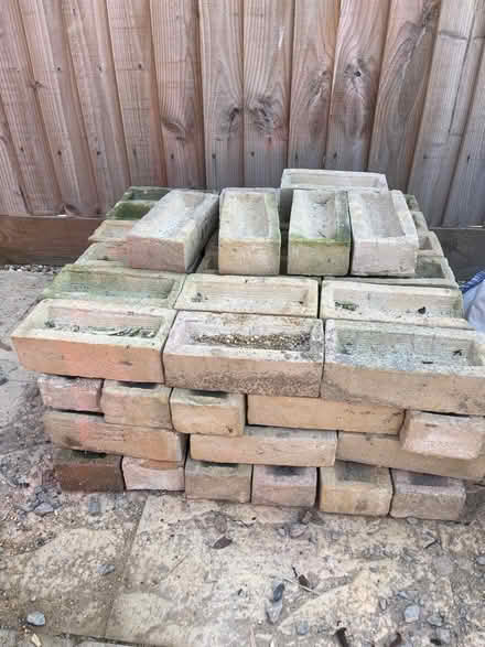 Photo of free 59 Buff Burns bricks (Melbourn) #1