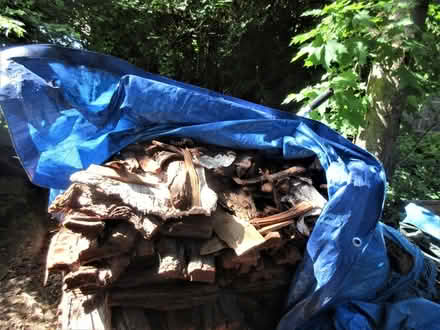 Photo of free Fire Wood (west eugene) #3