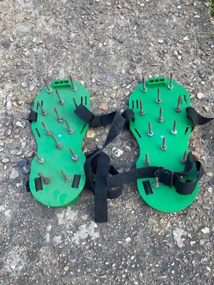 Photo of free Grass spiking shoes (Ipswich IP3) #2