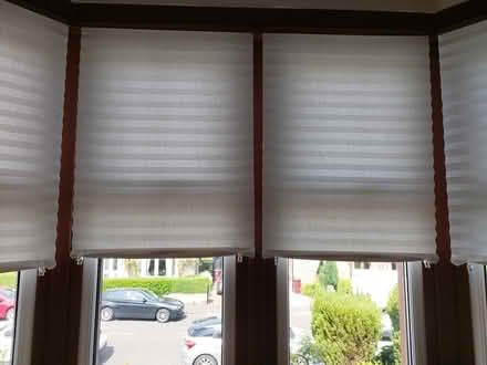 Photo of free 5 white "Blinds in a Box" (Burnside) #1