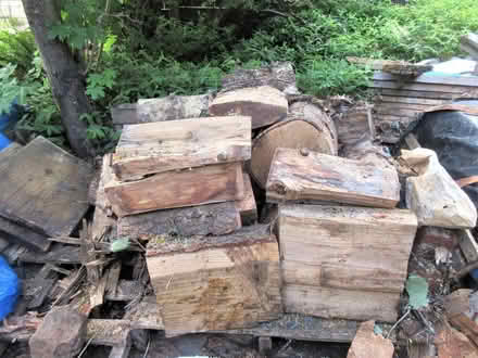 Photo of free Fire Wood (west eugene) #1
