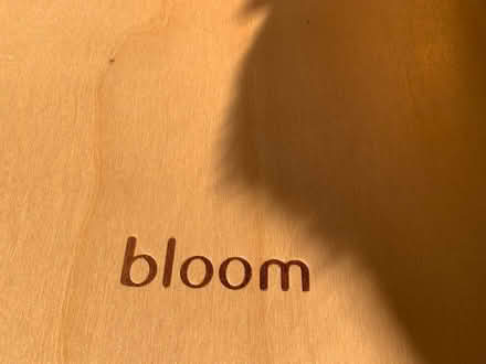 Photo of free Bloom baby rocker (Hallam Fields) #1