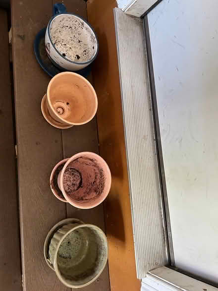 Photo of free 4 planting pots (Pine Hills) #3
