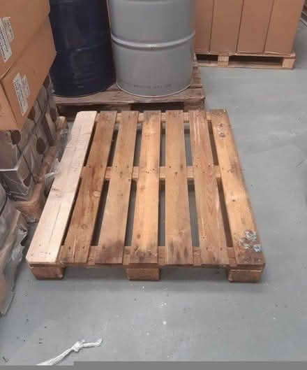 Photo of free 8 x Pallets (Woodbury Salterton) #1