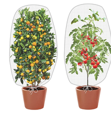 Photo of free Insect/Bird Netting for Plant x2 (92 X 101) #1