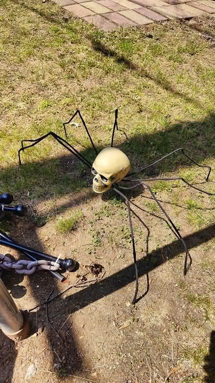 Photo of free TONS of Halloween decorations (Springfield) #4