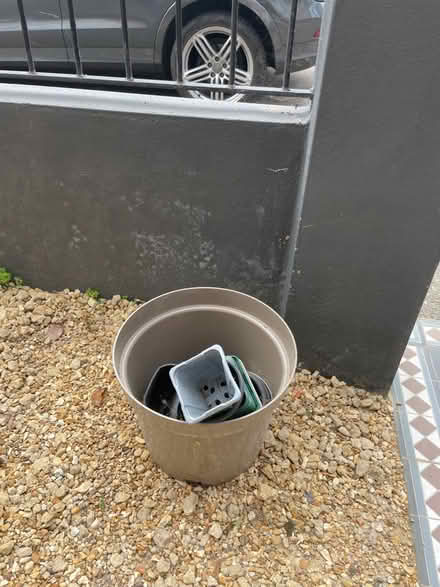 Photo of free Plant pota (Blackhorse Road) #2