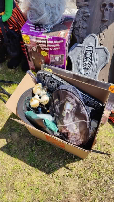 Photo of free TONS of Halloween decorations (Springfield) #3