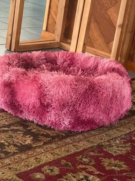 Photo of free Pink dog/cat bed (Casselberry) #1