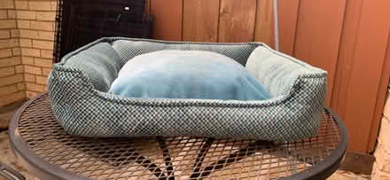 Photo of free Pet beds (North Arlington (76012)) #2