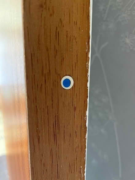 Photo of free 30 minute fire door (Moulton NN3) #2