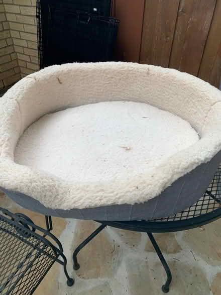 Photo of free Pet beds (North Arlington (76012)) #4