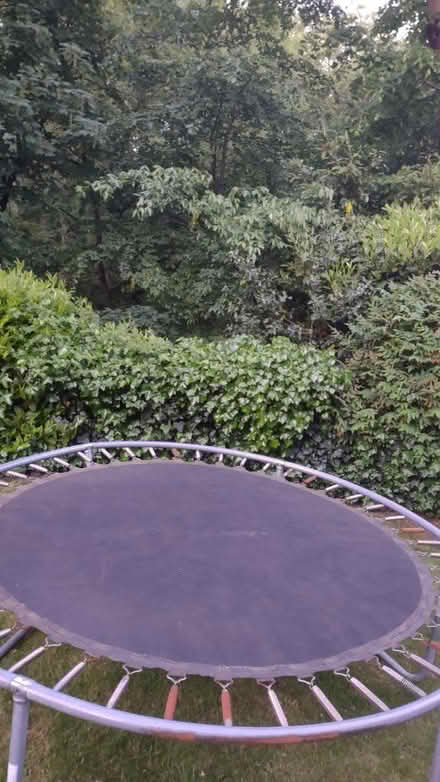 Photo of free Trampoline (Durham) #3