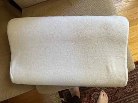 Photo of free Neck pillows (Capitol Hill) #1