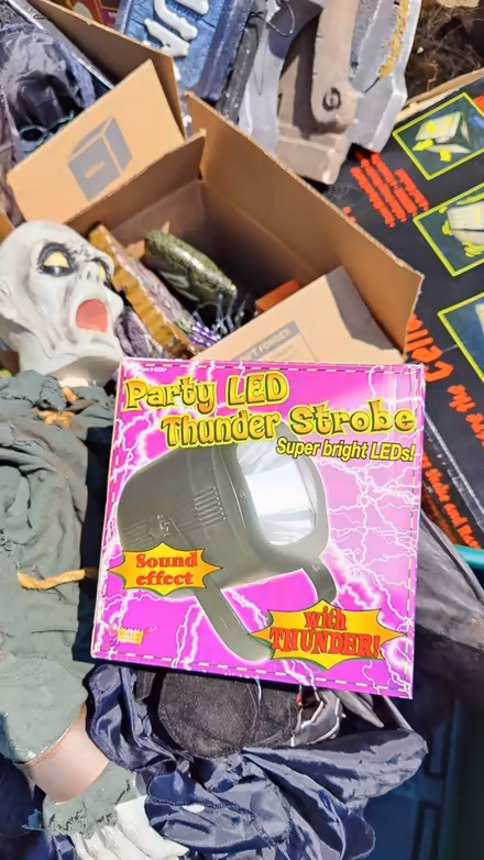 Photo of free TONS of Halloween decorations (Springfield) #2