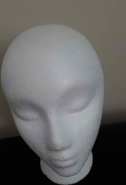 Photo of free Foam head forms (Glen Erin/Burnhamthorpe.) #1
