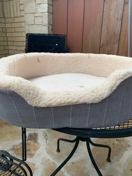 Photo of free Pet beds (North Arlington (76012)) #3