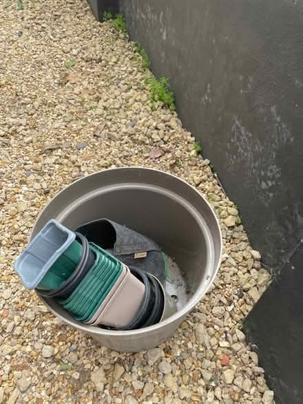 Photo of free Plant pota (Blackhorse Road) #1