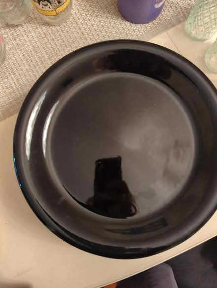 Photo of free 8 Black dinner plates (West Palm Beach) #2
